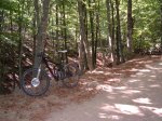riells-st fe-arbucies 09 024.jpg