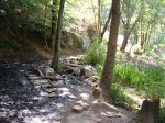 riells-st fe-arbucies 09 049.jpg