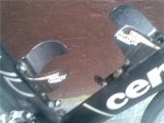 CERVO9.jpg