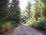 DSC04545.JPG