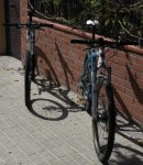 RIMG0253.JPG