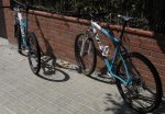 RIMG0257.JPG