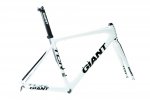giant_tcr_advanced_framexl.jpg