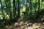 100_1112.jpg