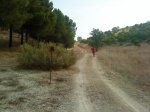 DSC00349.jpg