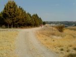 DSC00350.jpg