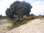 saida 12-09-09 fenasosa 021 [Desktop Resolution].jpg