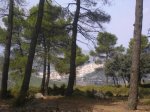 saida 12-09-09 fenasosa 030 [Desktop Resolution].jpg
