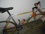 DSC02240.jpg