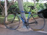 orbea asphalt.JPG