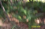 100_1116.jpg