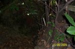 100_1126.jpg