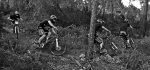 DSC_0214 copia.jpg