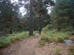 Foto6.JPG