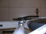 DSCN4642.jpg