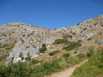IMG_0867.JPG