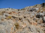 IMG_0873.JPG