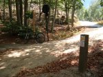 riells-st fe-arbucies 09 064.jpg