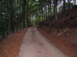 riells-st fe-arbucies 09 065.jpg