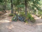riells-st fe-arbucies 09 071.jpg