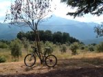 riells-st fe-arbucies 09 079.jpg