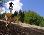 cannondale19.jpg