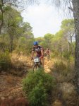 fotos btt 010 [800x600].jpg