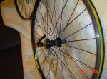 DSC04421.jpg
