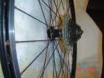 DSC04423.jpg