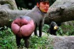 CULO DE MANDRIL.jpg