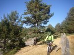 Foto7.JPG