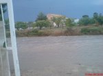 DSC00480_1.JPG