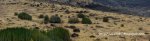 Panorama 5.JPG