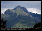 IMG_0619.jpg