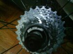 DSC00107.jpg