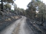IMG_1885.JPG