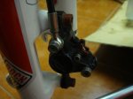 DSC02537.JPG