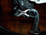 Photo3.gif