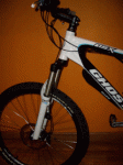 Photo8.gif