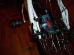 Photo9.gif