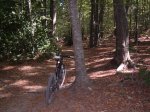 riells-st fe-arbucies 09 028.jpg
