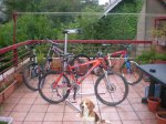 KONA DAWG 006.jpg