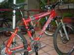 KONA DAWG 008.jpg