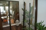DSC03730.jpg