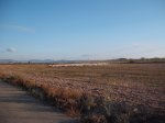 DSCF5958.JPG