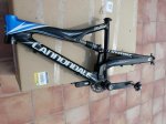 Rushcarbon3.jpg