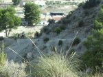 IMG_0288.jpg