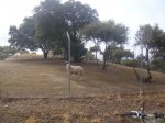 DSC02547.JPG