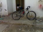 02122007028.jpg