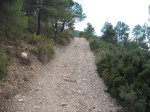DSCF5968.JPG